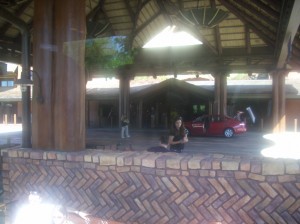 The entrance to the Animal Kingdom Lodge. Truly a "deluxe" resort. I have never seen anything like it. 