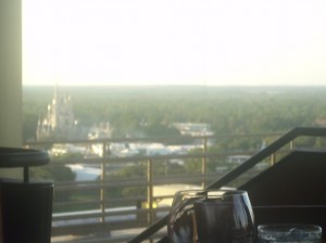 View from the California Grill, where we had dinner on day one. See Cinderella's castle to the far left? Yeah, I liked that view, too! Since I had my kids, most of my meals are eaten within four minutes so to be able to sit and linger over a meal for almost two hours was HEAVENLY!